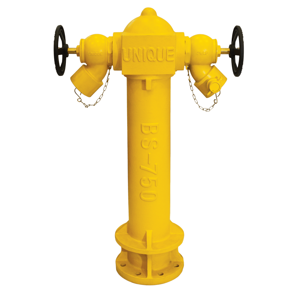 Two-way fire hydrant with landing valves